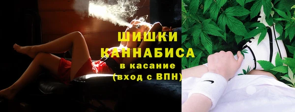 винт Лагань