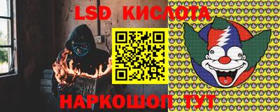 PSILOCYBIN Гатчина