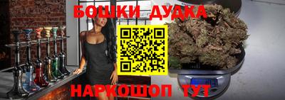 PSILOCYBIN Гатчина