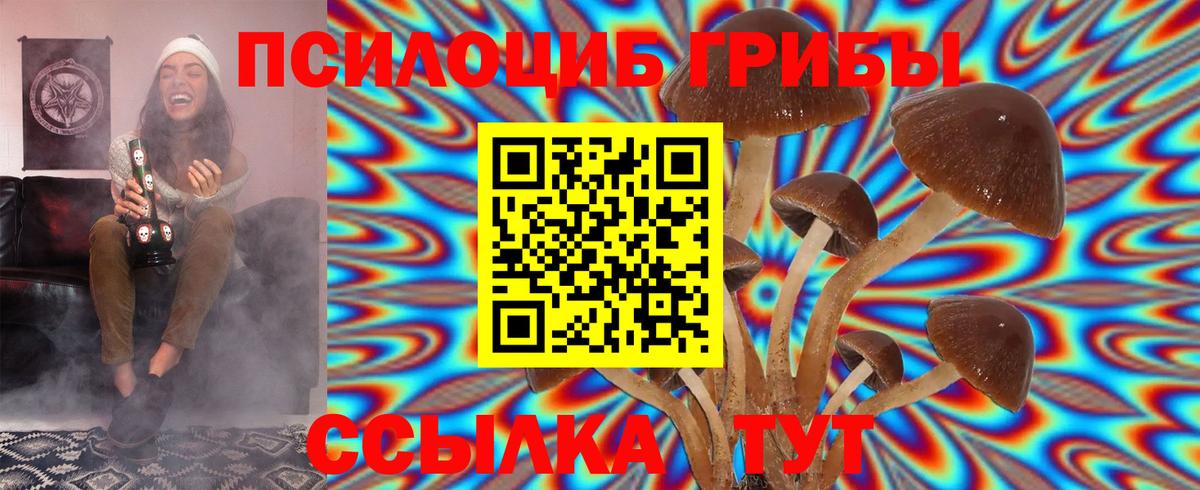 Галлюциногенные грибы Magic Shrooms  Вход с VPN  Касимов 